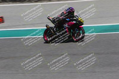 media/Jun-24-2022-TrackDaz (Fri) [[aa6850b51f]]/Group B/1245pm (Front Straight)/
